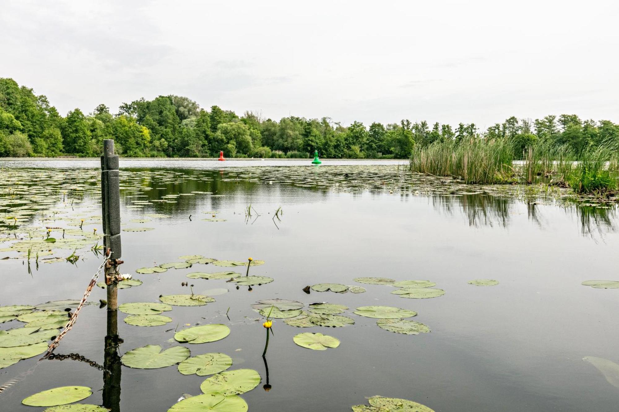 Villa Haus Am See à Königs Wusterhausen Extérieur photo