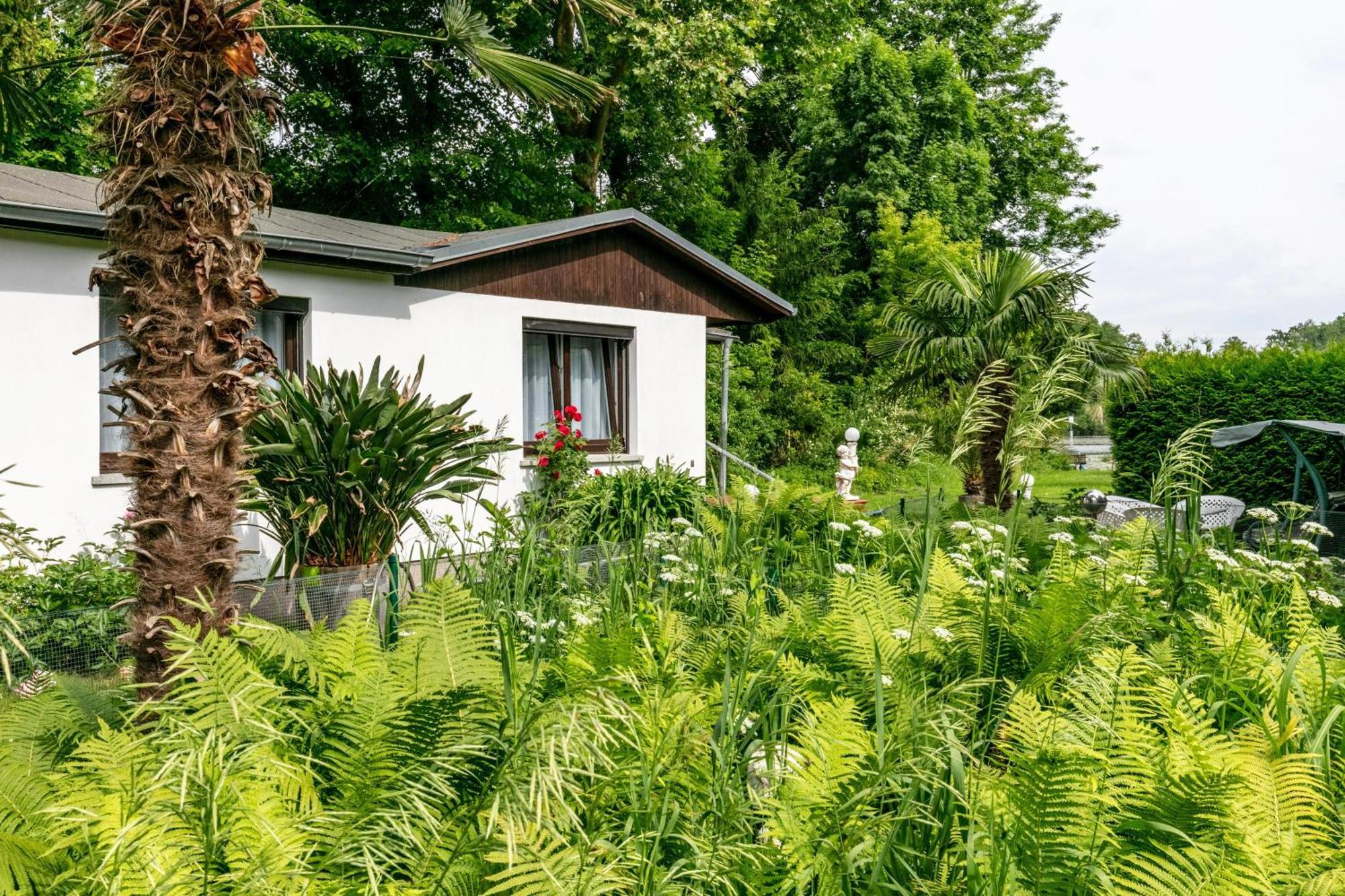 Villa Haus Am See à Königs Wusterhausen Extérieur photo