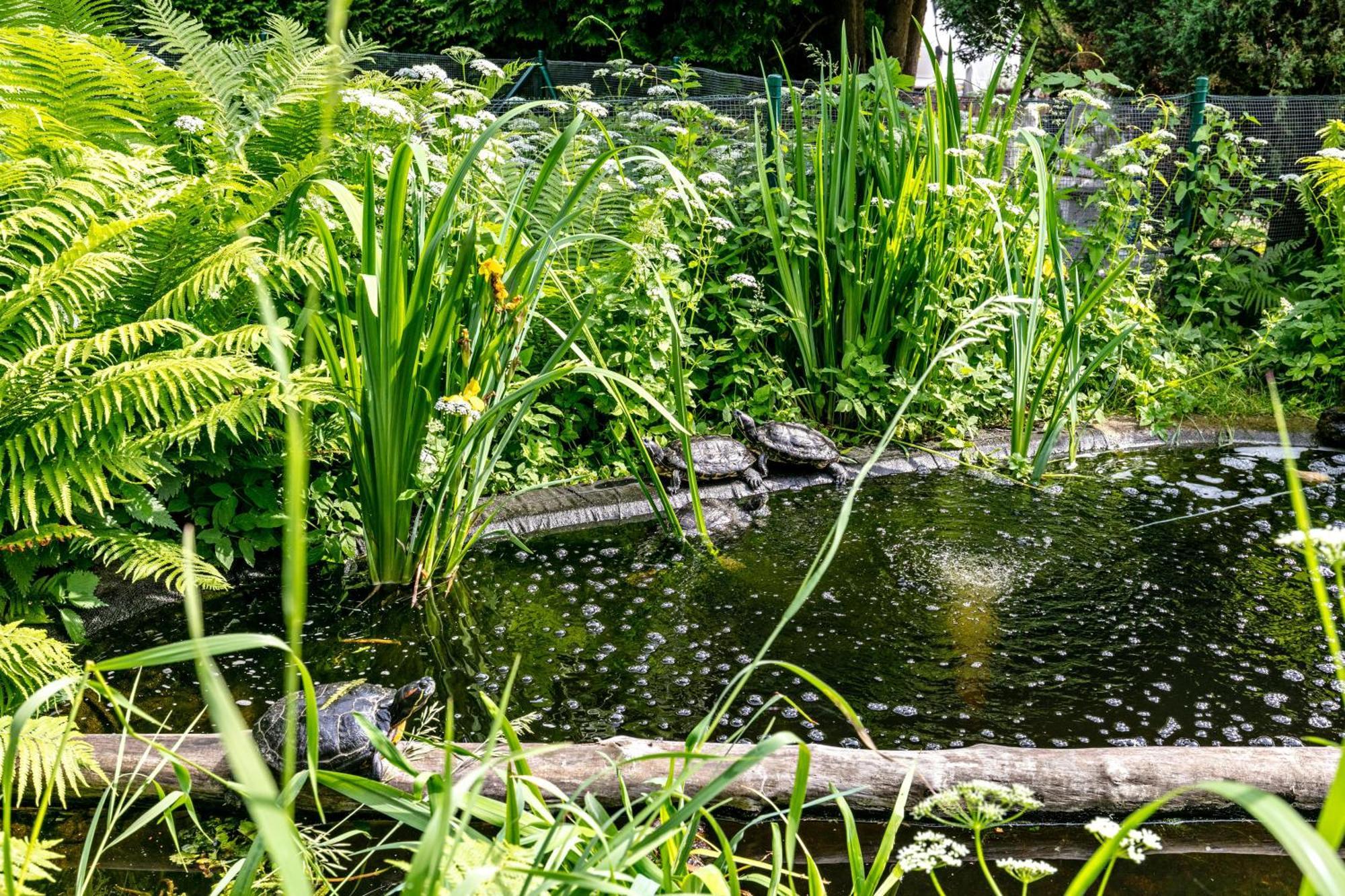 Villa Haus Am See à Königs Wusterhausen Extérieur photo